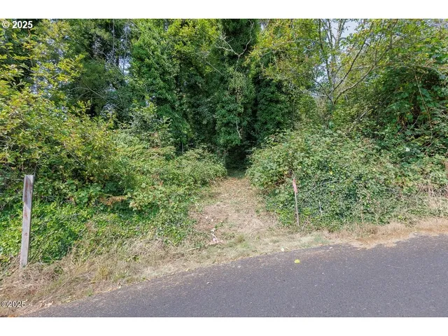 a view of a yard with a tree