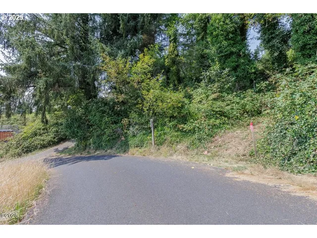 a view of a dirt road with a plants of the side of the house