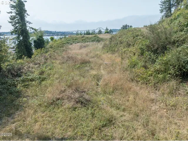 a view of a lake and mountain in the back
