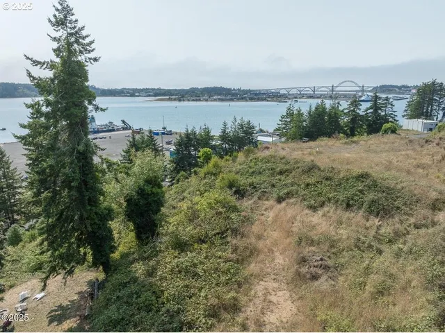 a view of a lake from a yard