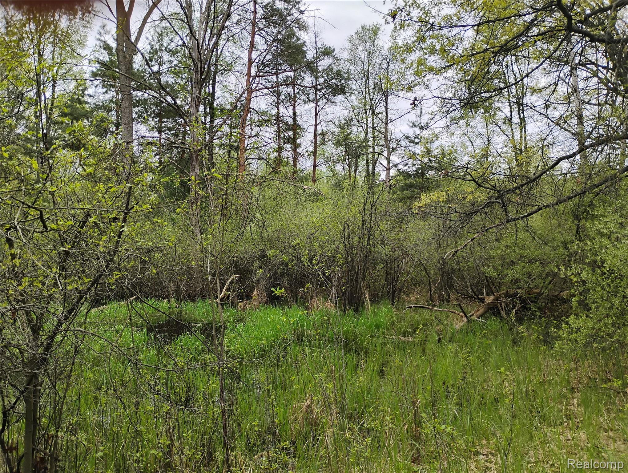 -middle Parcel C Middle Parcel C Middle Road Highland, MI 48357 - Photo 6 of 9 parcel c photo 1.jpg