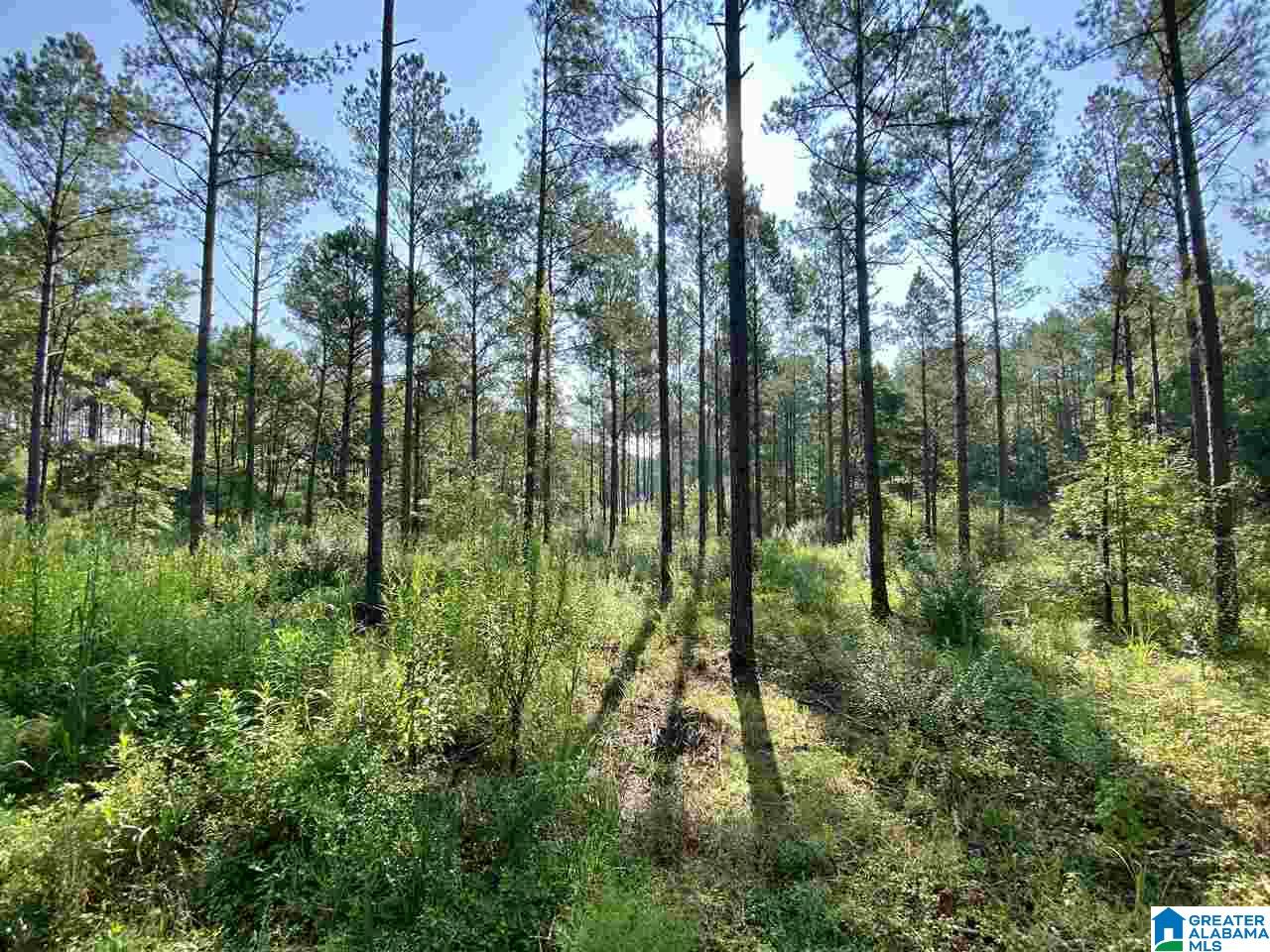 1 River Road, Unit 1 Quinton, AL 35130 - Photo 10 of 30