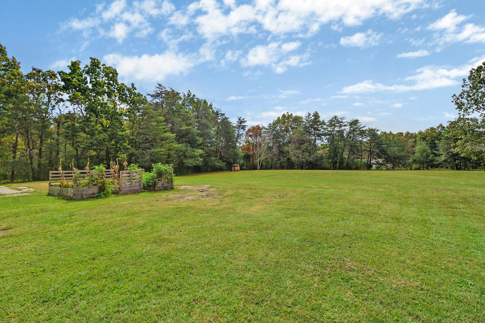 274 Crank Road Dayton, TN 37321 - Photo 17 of 19