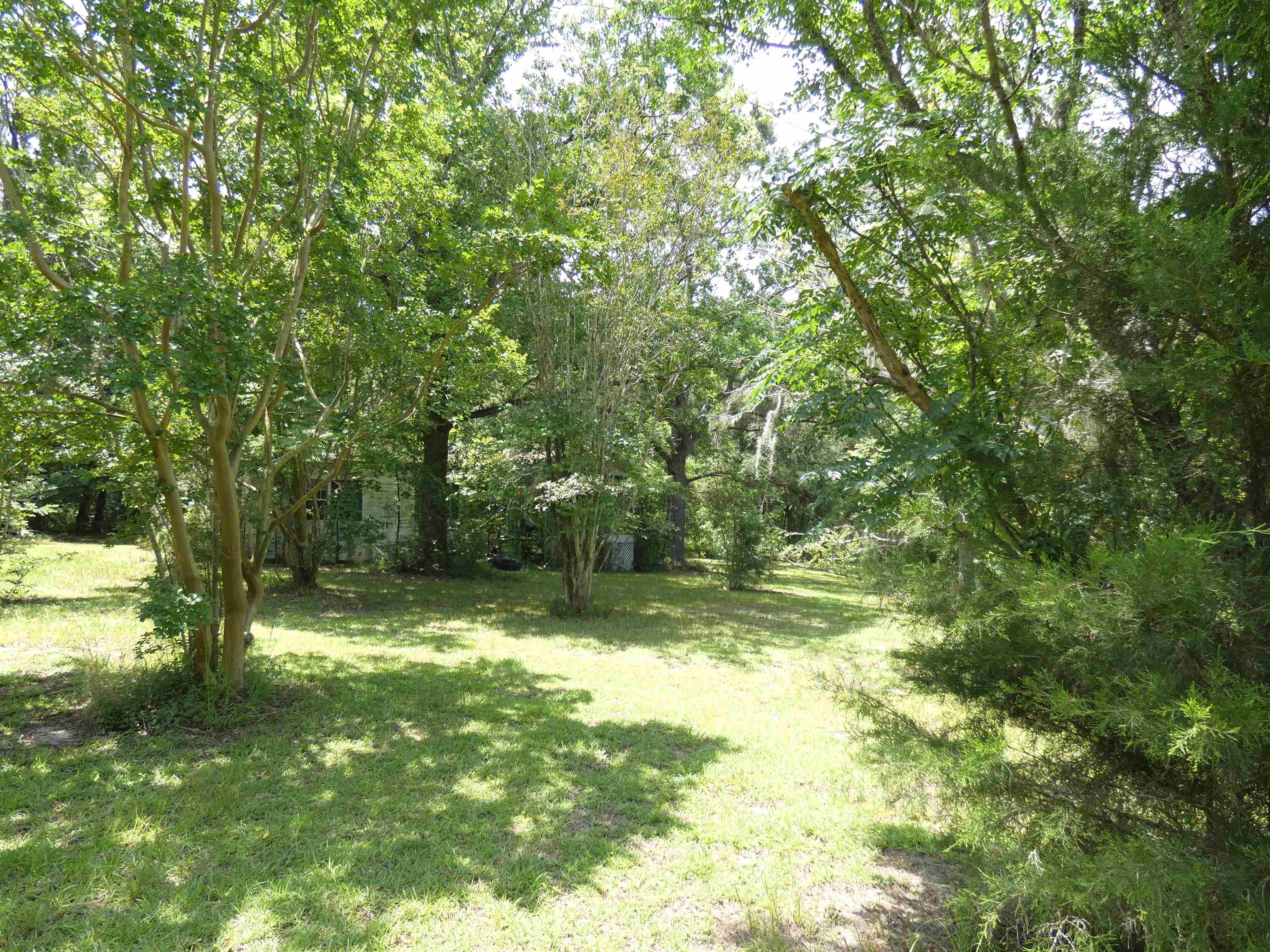 790 Wj Hatchett Road Lamont, FL 32336 - Photo 3 of 6