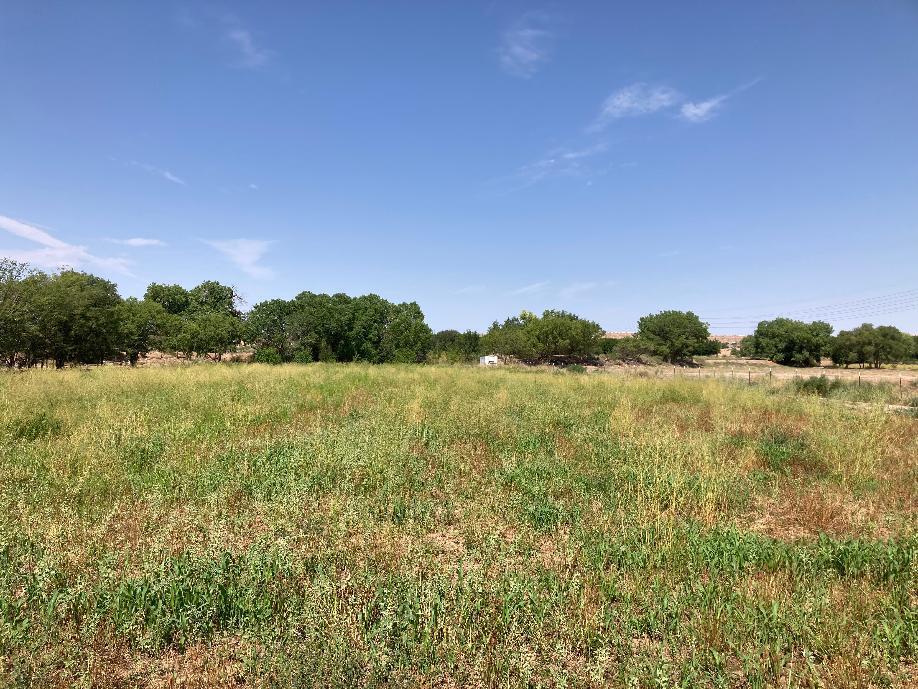 25 Pueblitos Road Belen, NM 87002 - Photo 10 of 17 Gallery Image 10