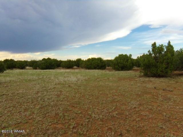 2166 Supancheck Road Show Low, AZ 85901 - Photo 2 of 10 Gallery Image 2