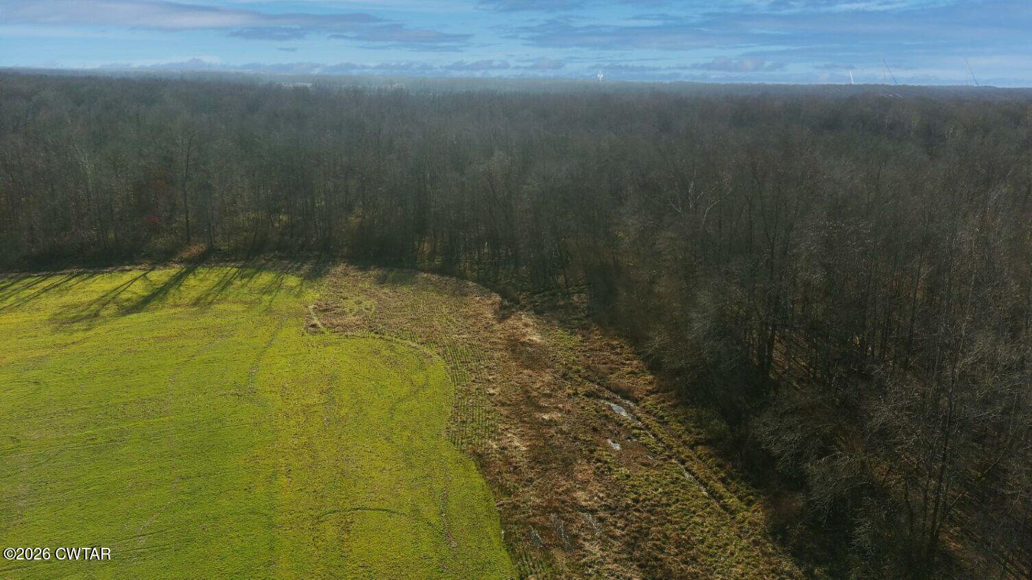1471 Douglas Loop Stanton, TN 38069 - Photo 15 of 17 a bathroom with a shower