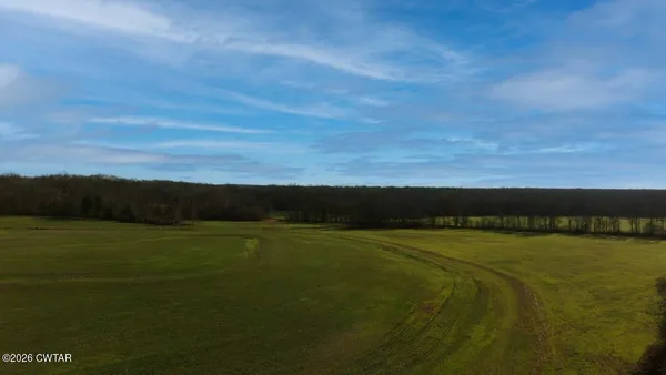 a view of a field with an ocean