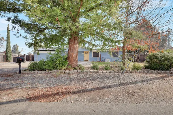 a backyard of a house with plants and trees