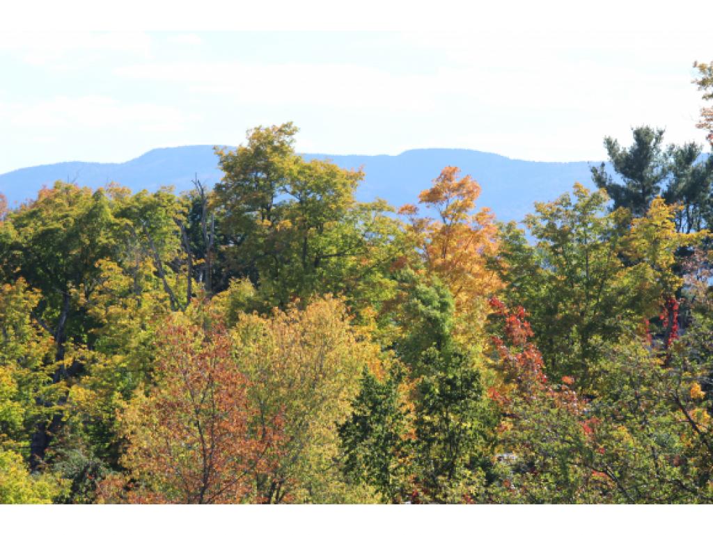 80 Gay Farm Road New London, NH 03257 - Photo 4 of 26