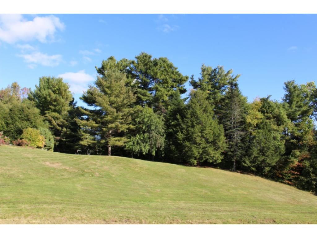 80 Gay Farm Road New London, NH 03257 - Photo 6 of 26