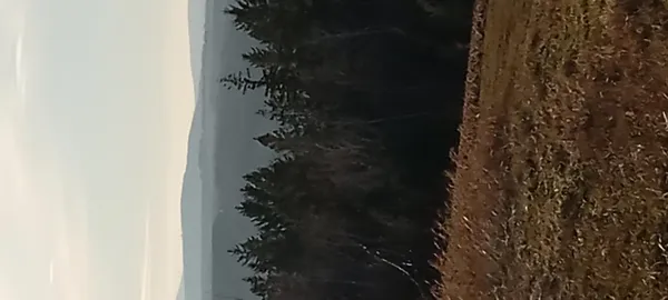 $69,900 | Ar105-p4 Jemtland Road, Caribou, ME 04736