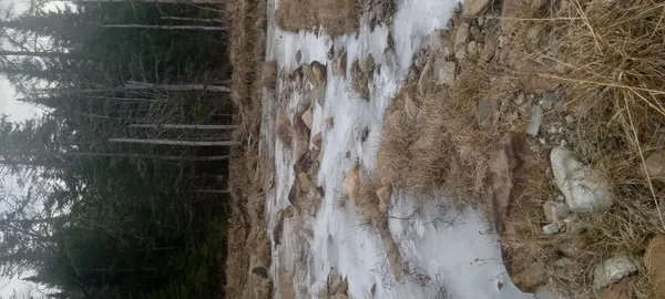 $69,900 | Ar105-p4 Jemtland Road, Caribou, ME 04736