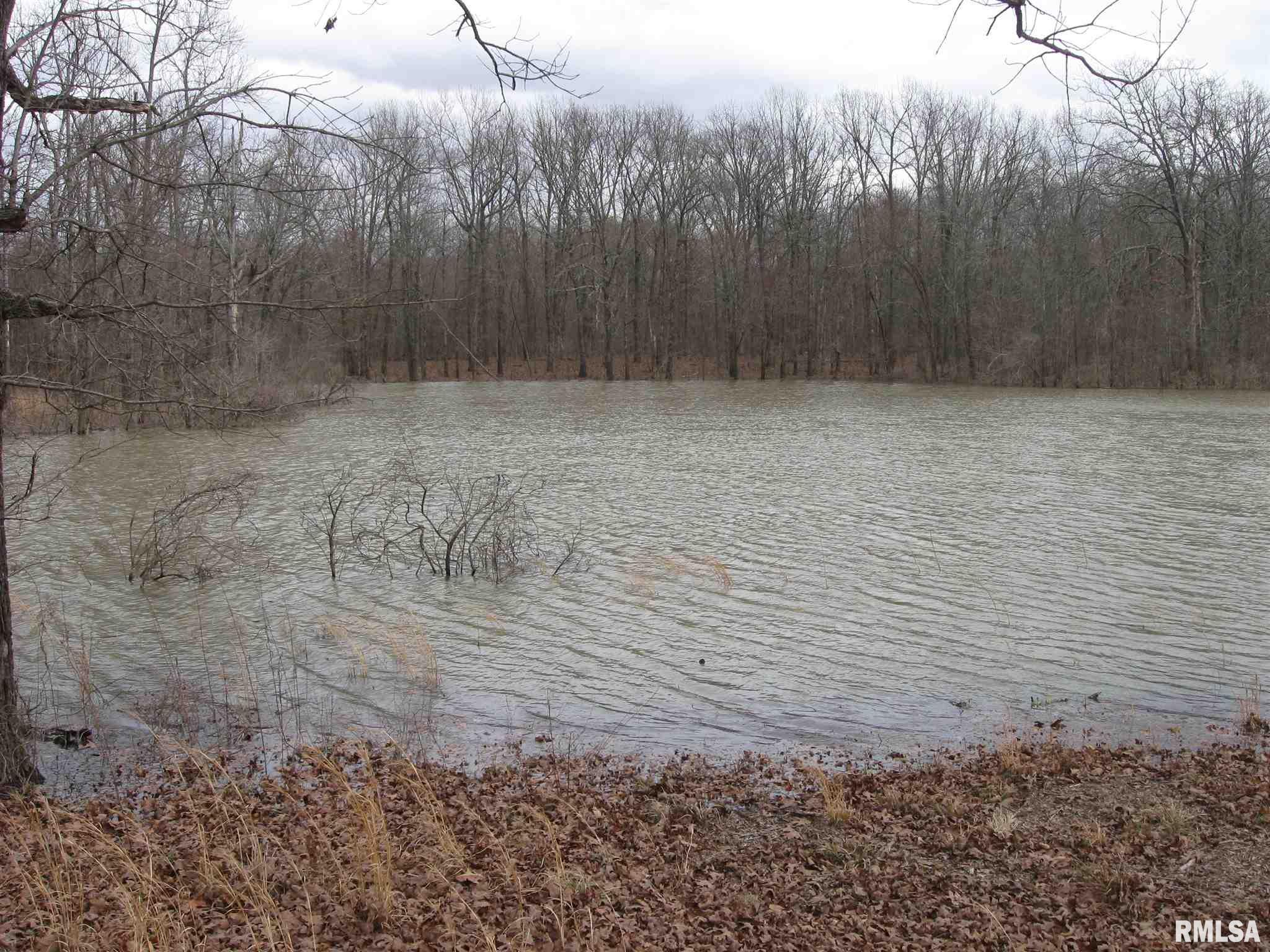 2360 Dog Walk Road Equality, IL 62934 - Photo 3 of 26 Gallery Image 3