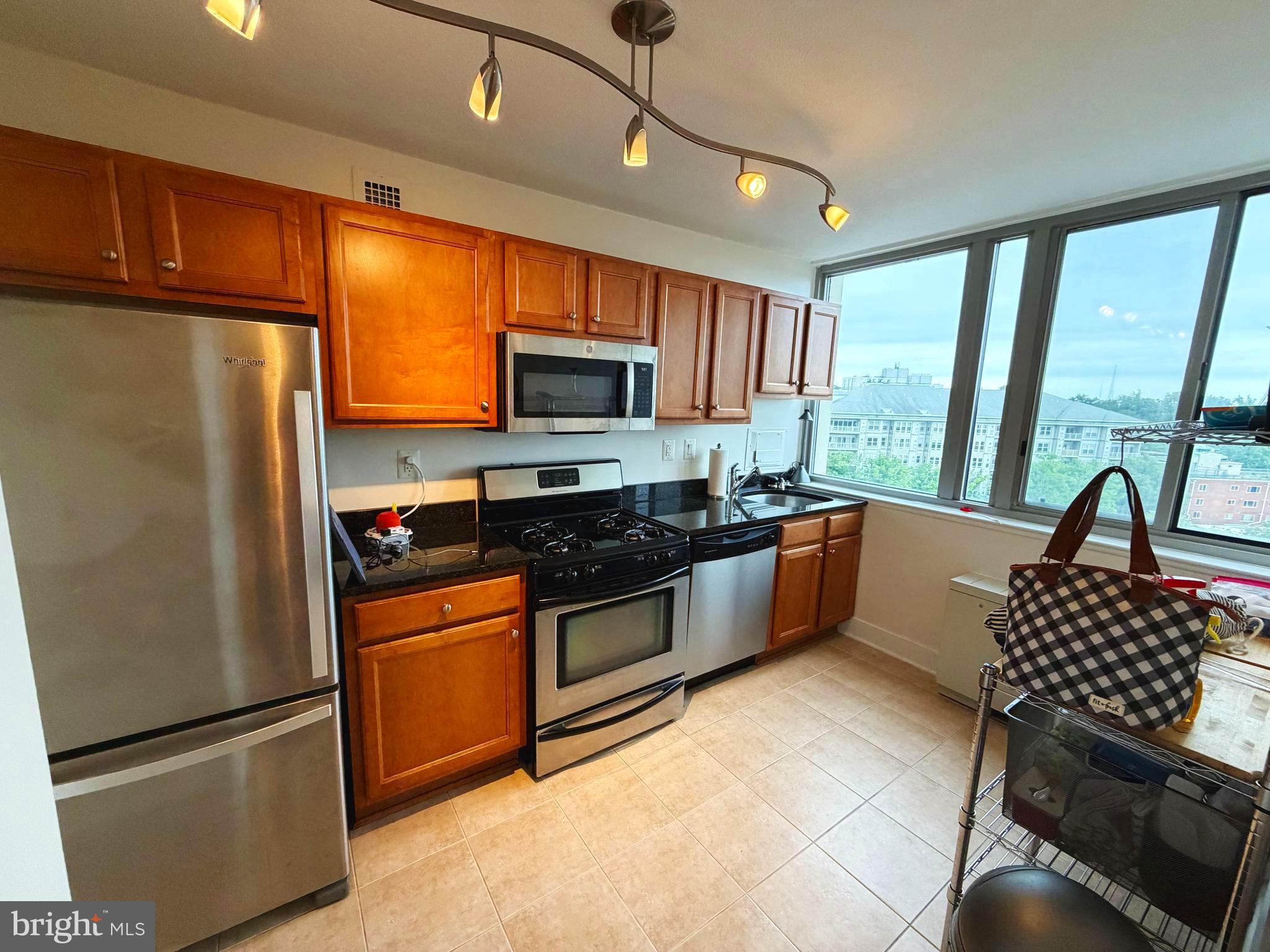 1220 Blair Mill Road, Unit 905 Silver Spring, MD 20910 - Photo 6 of 30 Kitchen with a view and SS appliances
