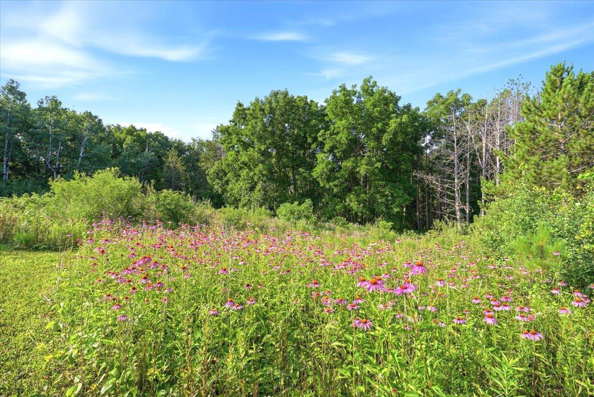 N4021 County Rd O Ellsworth, WI 54011 - Photo 44 of 54 Gallery Image 44