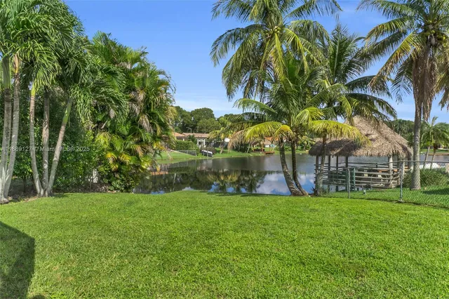 a view of a park with a palm trees