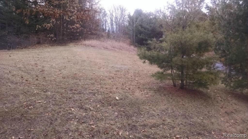 0 Flint Road Brighton, MI 48116 - Photo 2 of 3