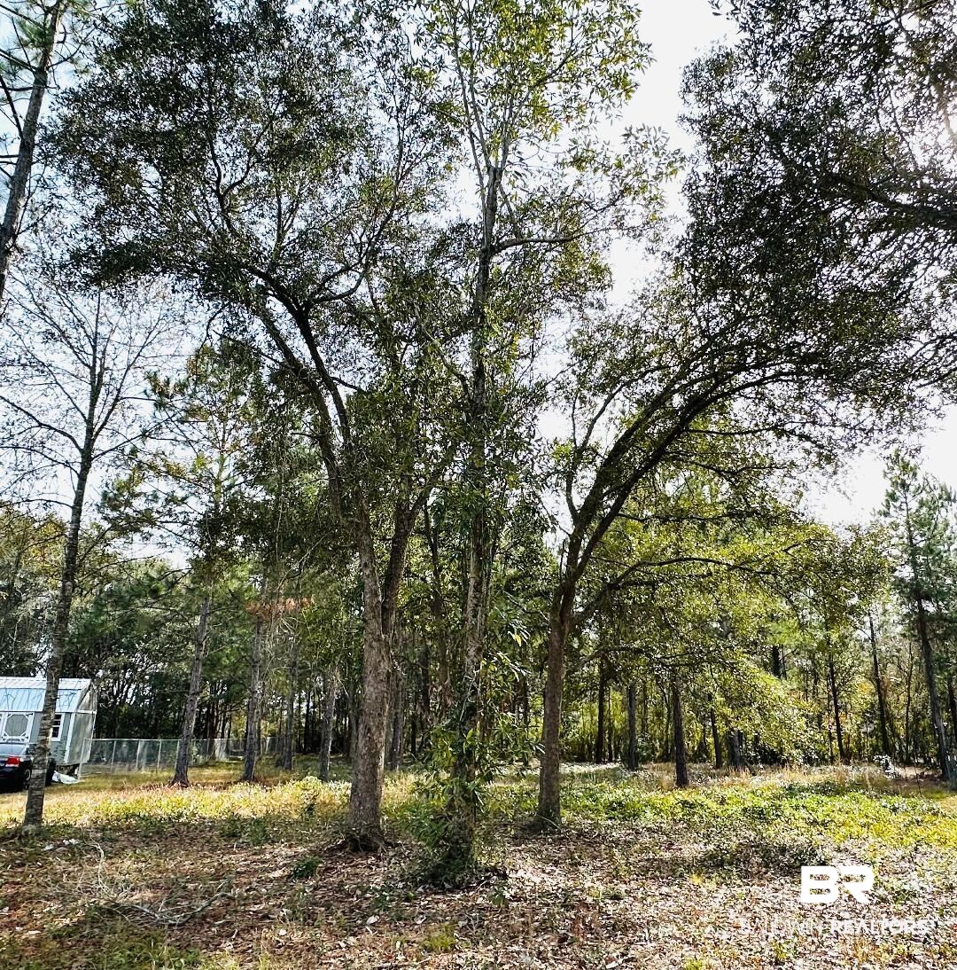 0 Marsh Point Theodore, AL 36582 - Photo 3 of 3