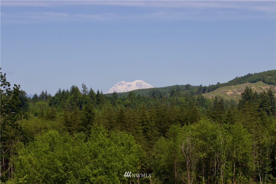 794 Smokey Valley Road Toledo, WA 98591 - Photo 2 of 18