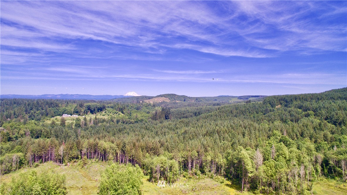794 Smokey Valley Road Toledo, WA 98591 - Photo 14 of 18