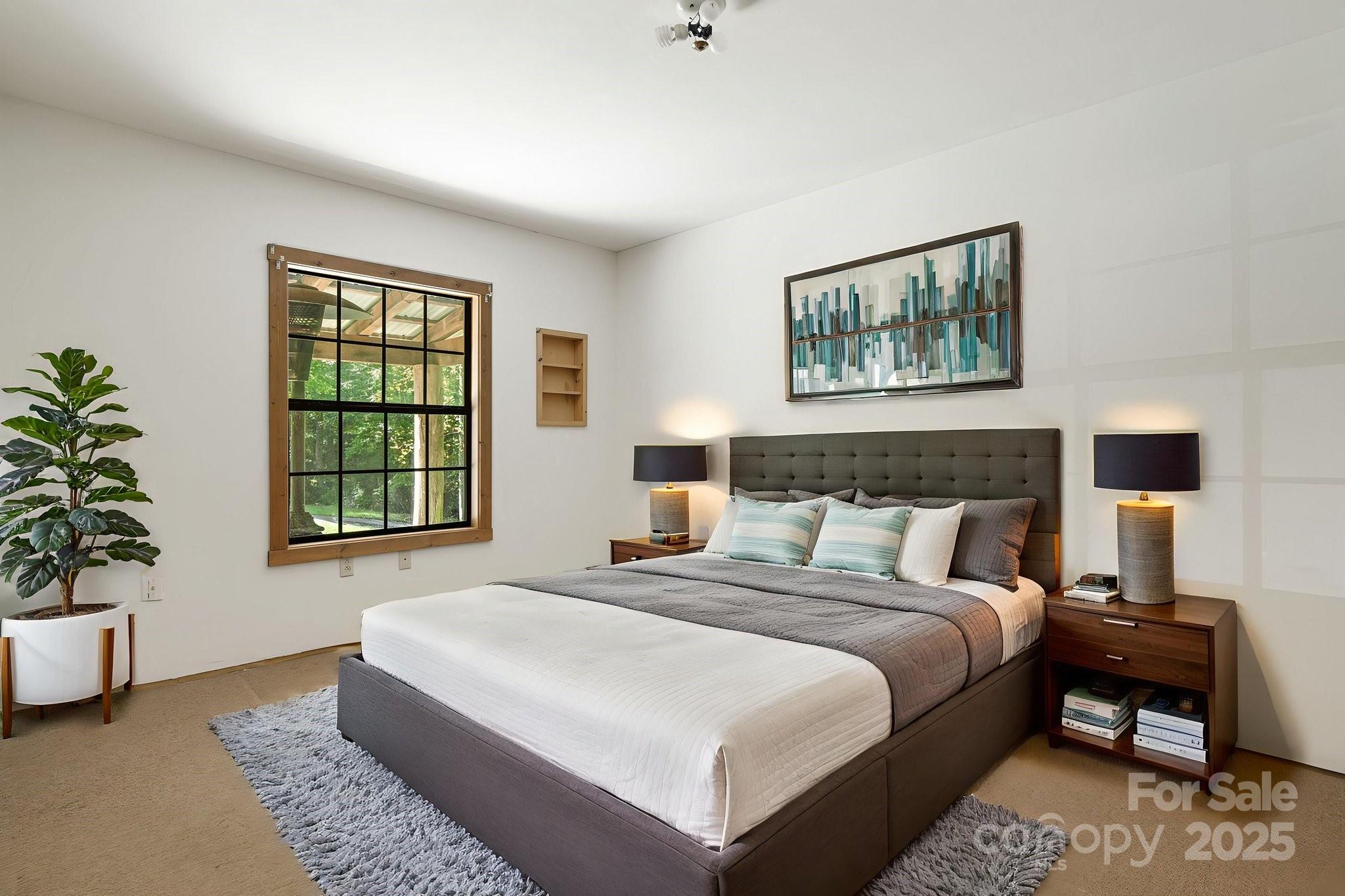 206 Willow Lane Brevard, NC 28712 - Photo 15 of 43 a bedroom with a bed and a potted plant