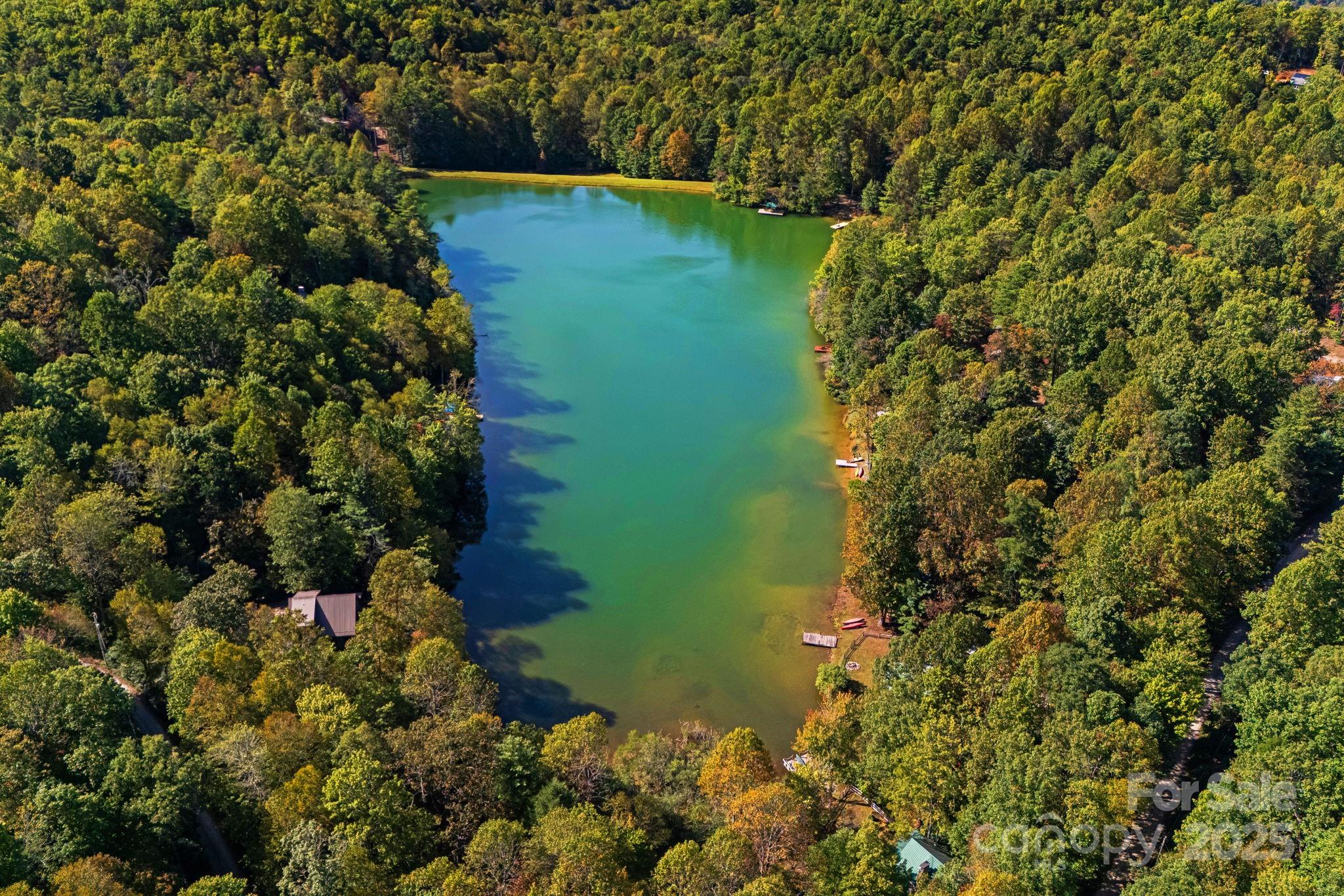 206 Willow Lane Brevard, NC 28712 - Photo 28 of 43 a view of a garden