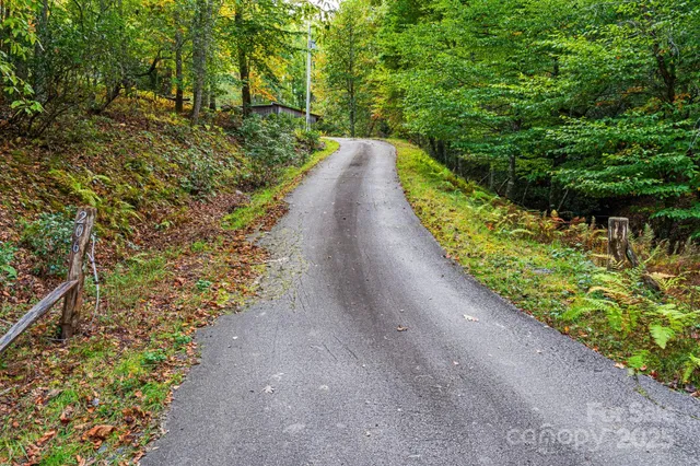a view of a pathway with a yard