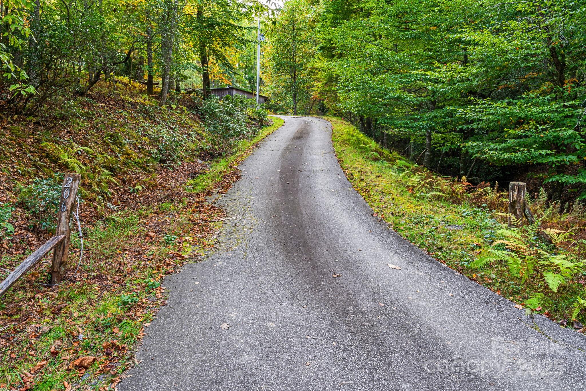 206 Willow Lane Brevard, NC 28712 - Photo 30 of 43 a view of a pathway with a yard