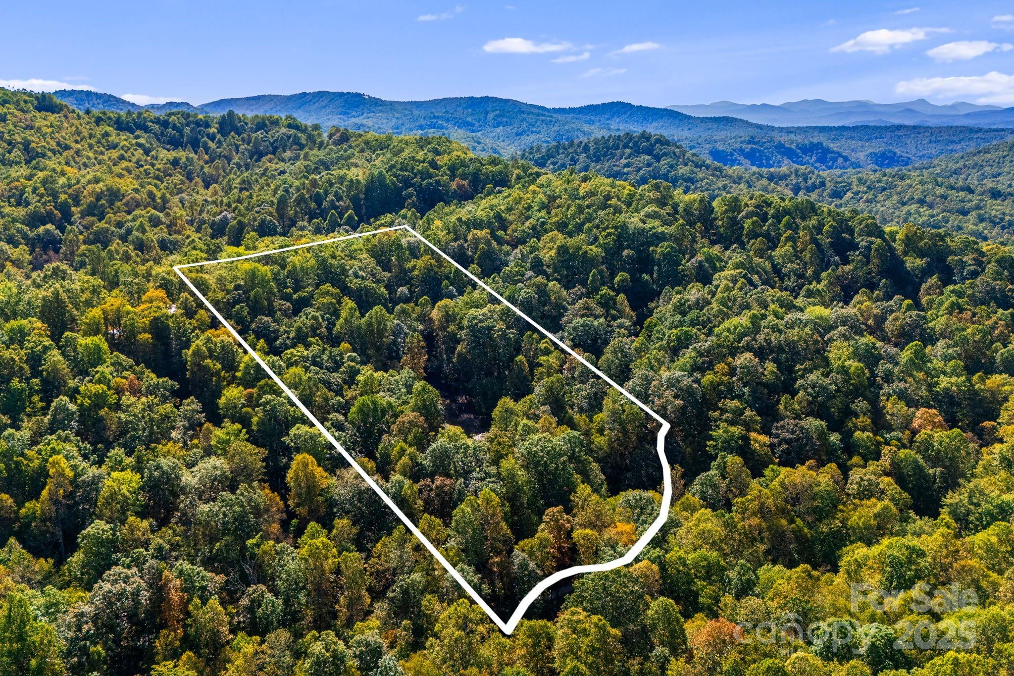 206 Willow Lane Brevard, NC 28712 - Photo 37 of 43 a view of a lush green field with mountains in the background