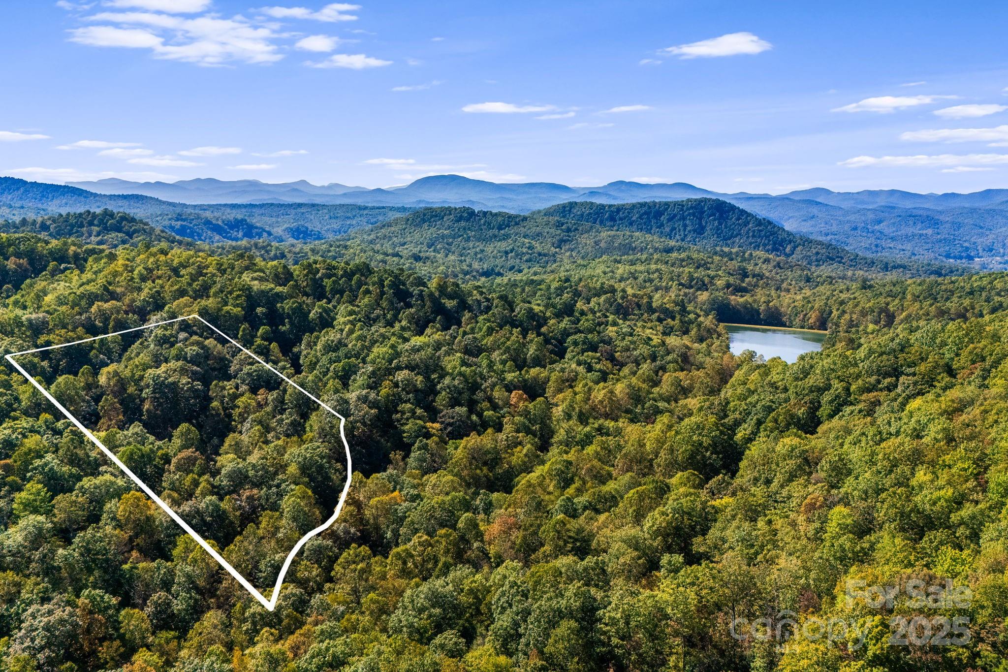 206 Willow Lane Brevard, NC 28712 - Photo 38 of 43 a view of a mountain