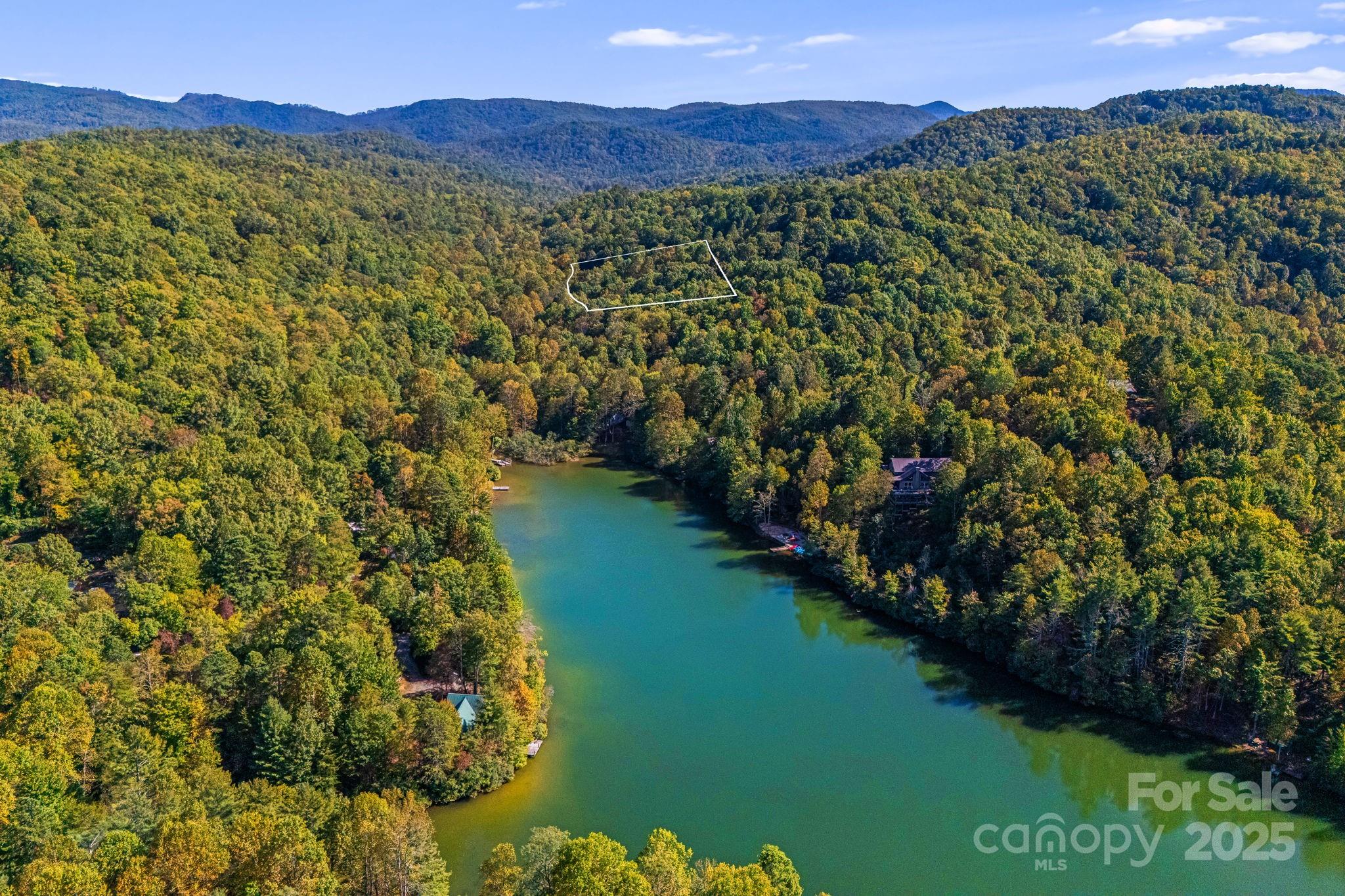 206 Willow Lane Brevard, NC 28712 - Photo 39 of 43 a view of a lush green hillside and a houses