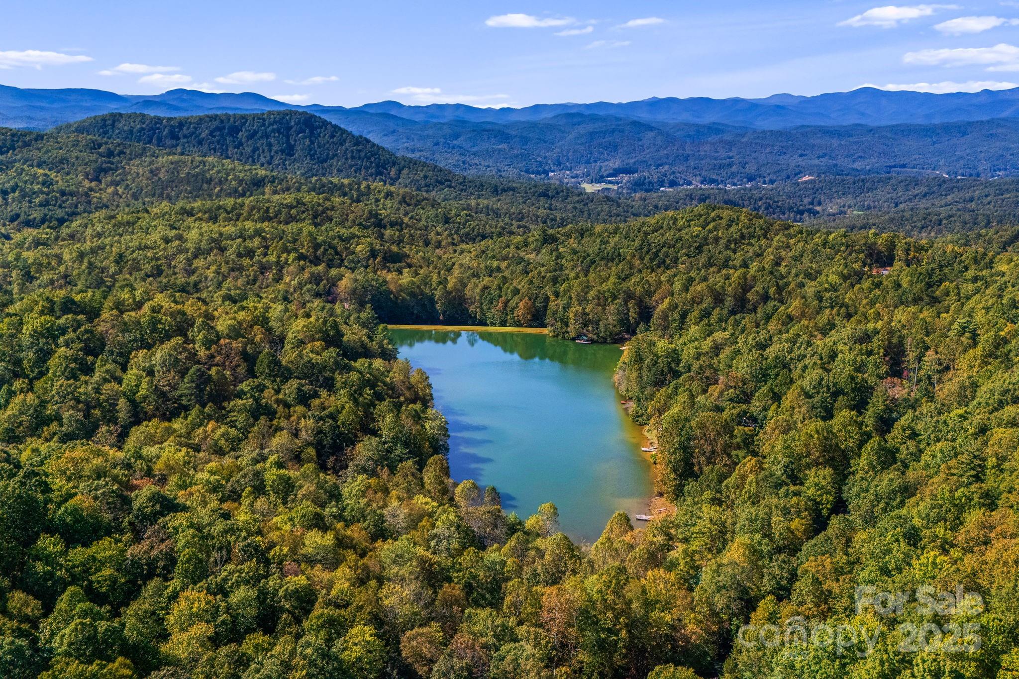 206 Willow Lane Brevard, NC 28712 - Photo 40 of 43 a view of a lush green field with mountains in the background