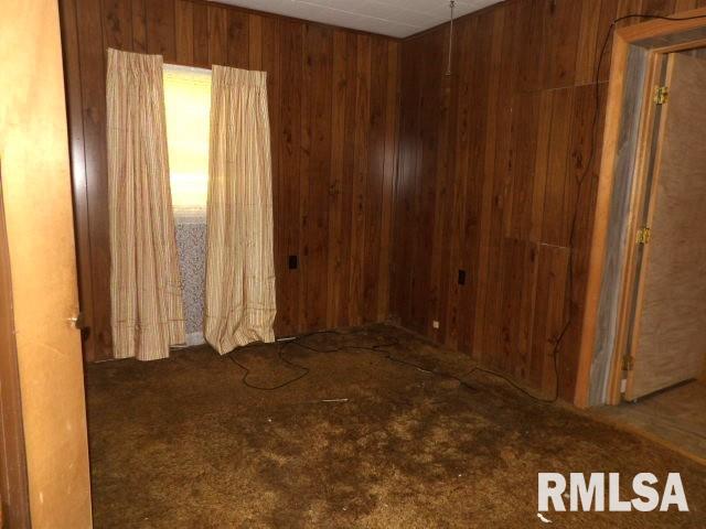 1509 East 4th Street West Frankfort, IL 62896 - Photo 22 of 41