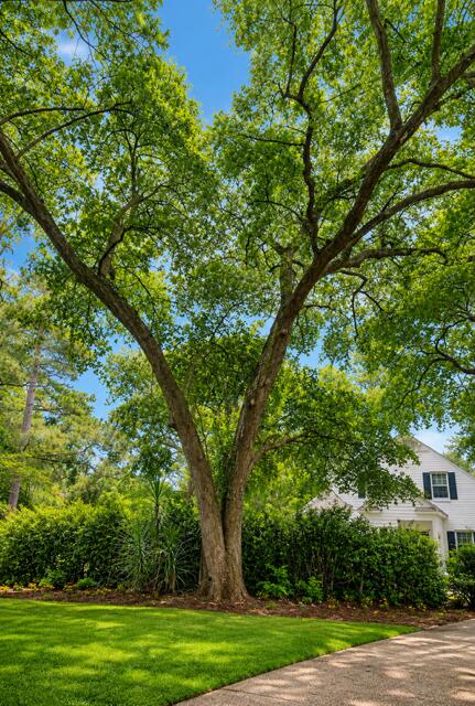 617 Green Street Kingstree, SC 29556 - Photo 27 of 27 EADE214D-2C1F-4A36-8583-9A4E87C61A64