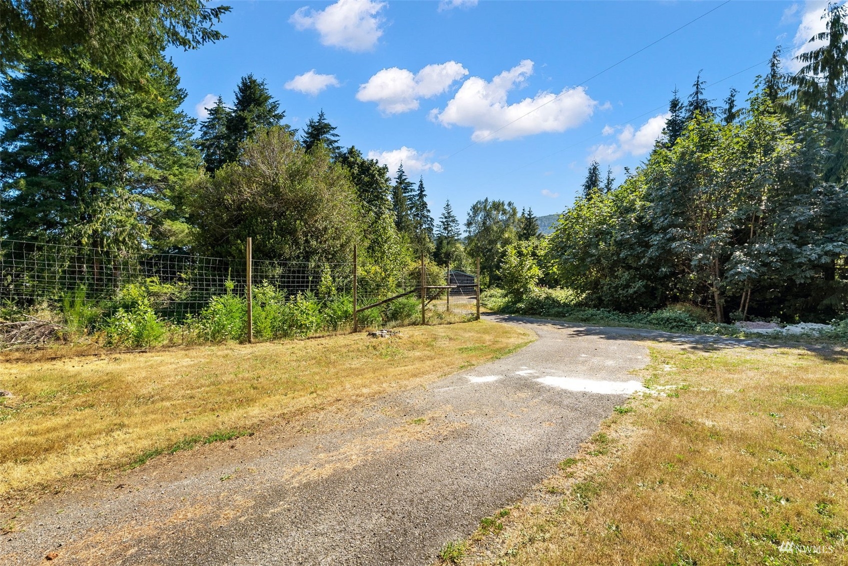 881 Dosewallips Road Brinnon, WA 98320 - Photo 11 of 40 Gallery Image 11