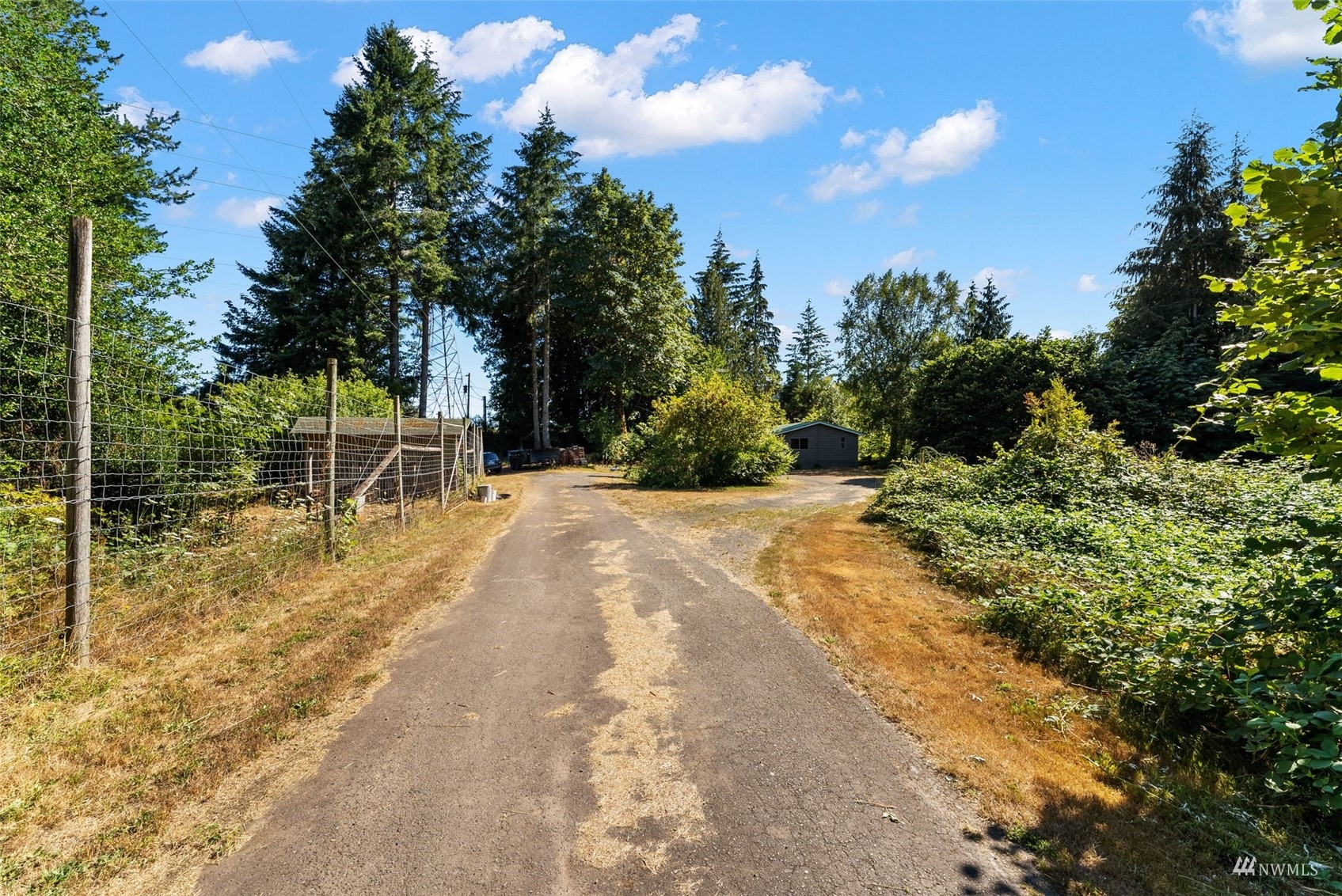 881 Dosewallips Road Brinnon, WA 98320 - Photo 12 of 40 Gallery Image 12