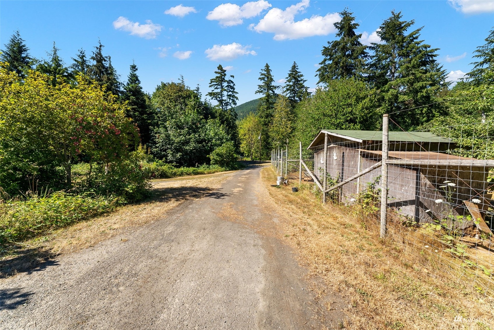 881 Dosewallips Road Brinnon, WA 98320 - Photo 13 of 40 Gallery Image 13