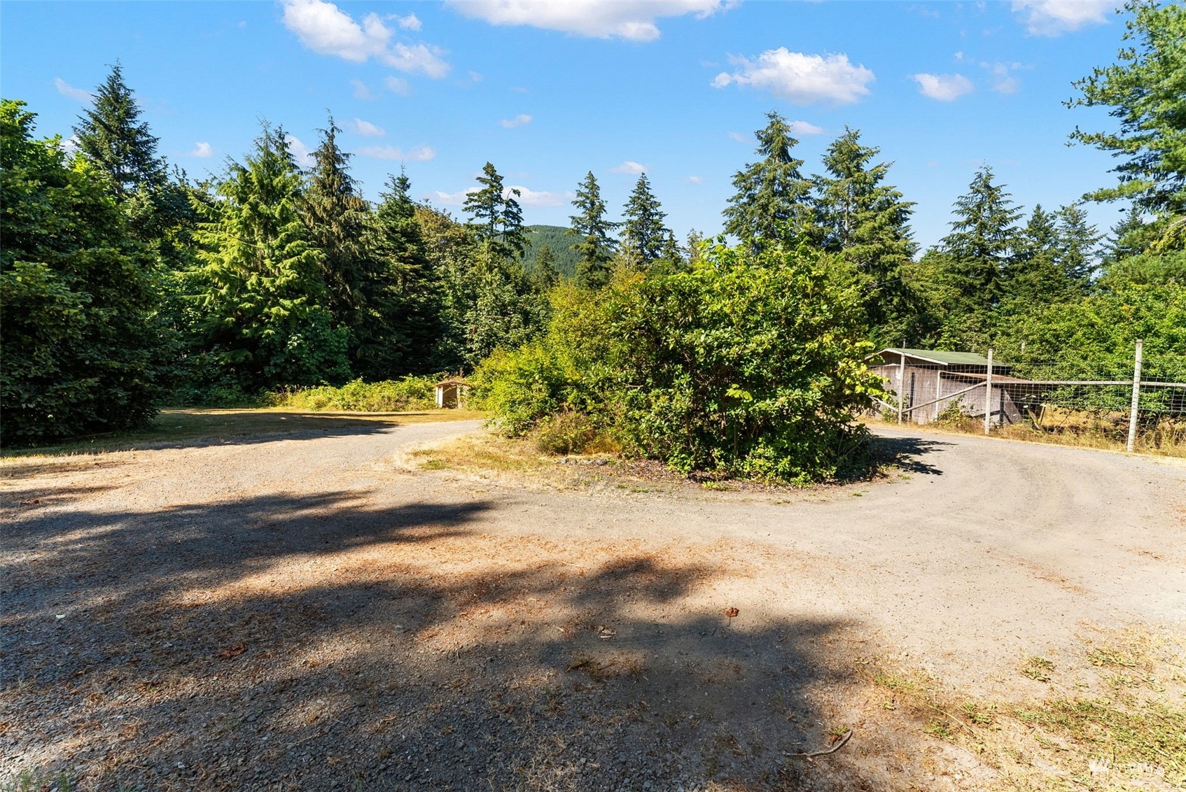 881 Dosewallips Road Brinnon, WA 98320 - Photo 15 of 40 Gallery Image 15