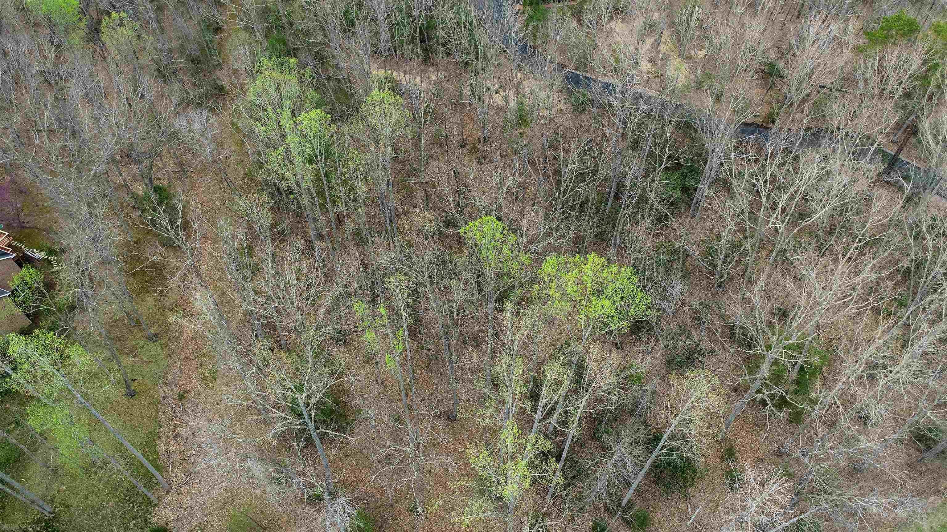 1115 Treetop Ridge Road Blacksburg, VA 24060 - Photo 14 of 26 Gallery Image 14