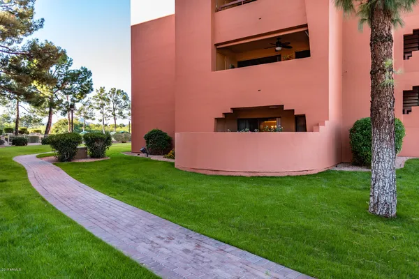 a view of a backyard with potted plants and a large tree