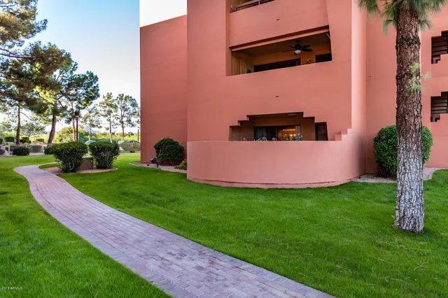 a view of a backyard with potted plants and a large tree