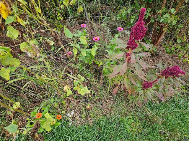 $339,000 | 6636 Southwest Gisbourne Court, Topeka, KS 66614