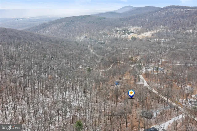 a view of city with tall trees