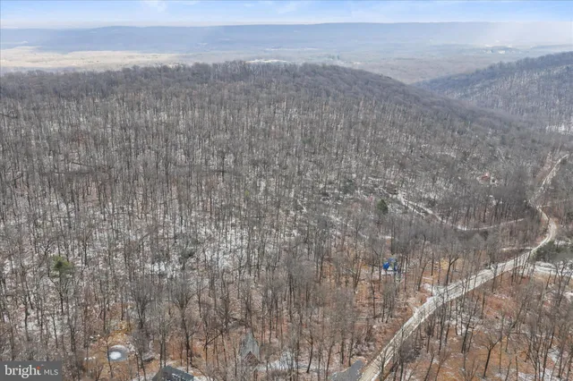a view of a dry yard