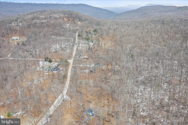 a view of a dry yard