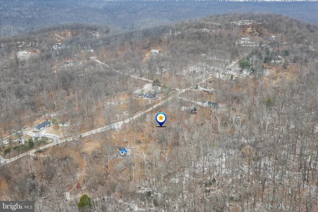 a view of a dry yard