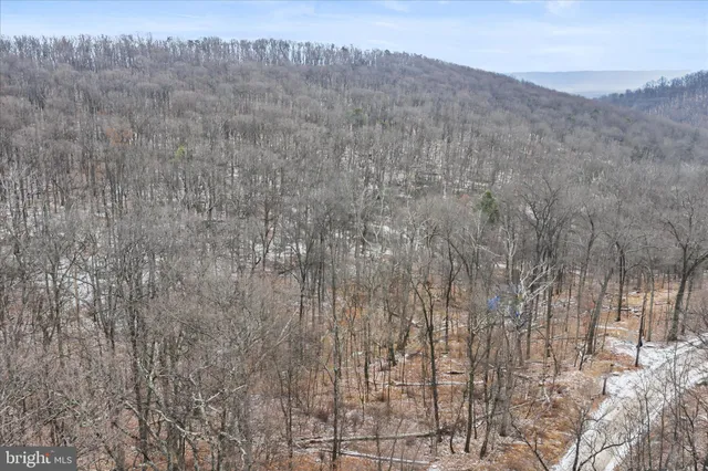 a view of a dry yard