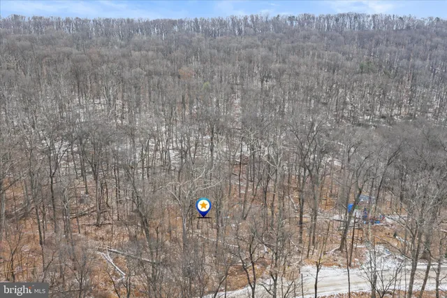 a view of a dry field with trees in the background