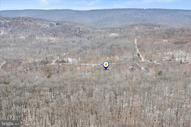 a view of a dry yard